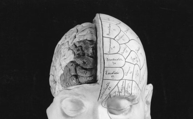 Four Science Backed Strategies To Stop A Vicious Cycle of Self Defeating Thoughts