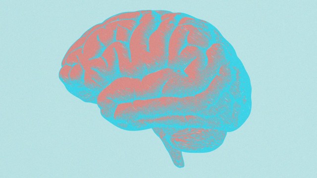 Brain Health Can Improve With 5 To 10 Minutes of Daily Training